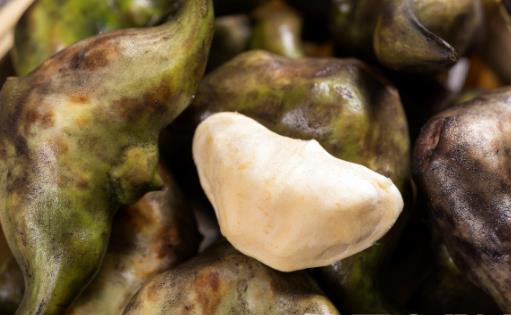 菱角安中補五臟不饑輕身 吃菱角的禁忌