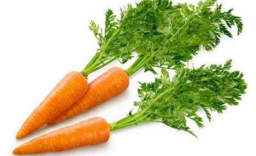 司機視力疲勞的癥狀 預防視力疲勞的飲食調理