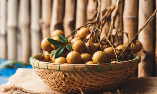 良好的睡眠是老人最好的“滋補品” 說說老人養生的哲學