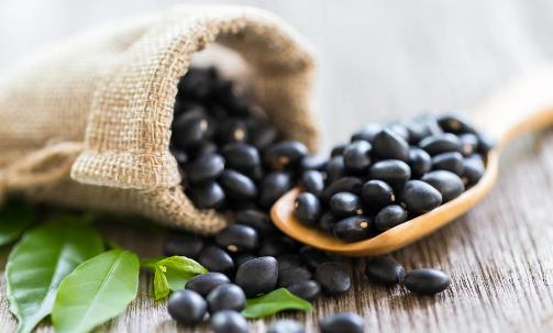 老人更適合吃黑豆養生 說說黑豆的幾款創意吃法