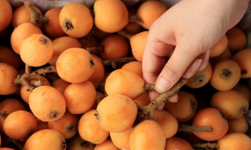 草莓的哪些功效對老人養(yǎng)生呢