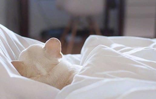 賴(lài)床是身體發(fā)出的不健康信息 改掉這個(gè)壞毛病的建議