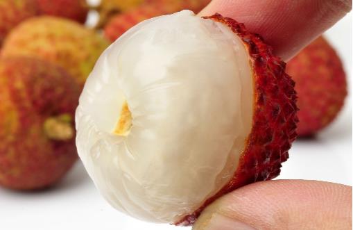 刷新 翻看 我 荔枝不僅好吃,養生功效你知道不