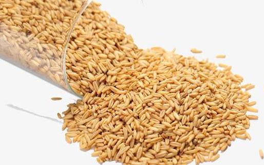 職場(chǎng)男士調(diào)理身體的六種方法 男人三餐的健康吃法