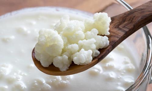 益生菌飲料真的能助消化嗎 益生菌食品的適宜人群