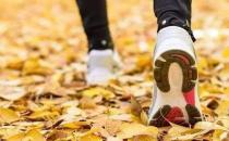 ?上班族秋季養(yǎng)生小常識 白領(lǐng)人士首選食補方案