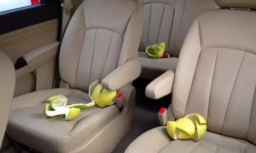 3種辦法相結合 教你去除車內異味的小竅門