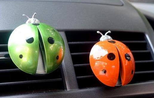 3種辦法相結合 教你去除車內異味的小竅門