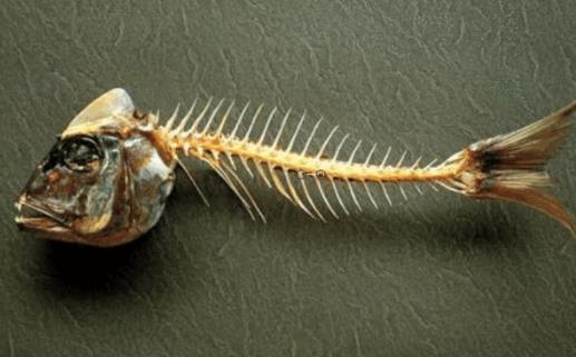 魚刺卡住喉嚨的9種解決方法 吃魚時一定要小心謹慎