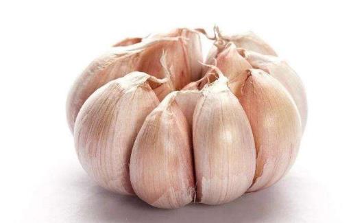 提高免疫力的簡單實用法 老年人提高免疫力的食物