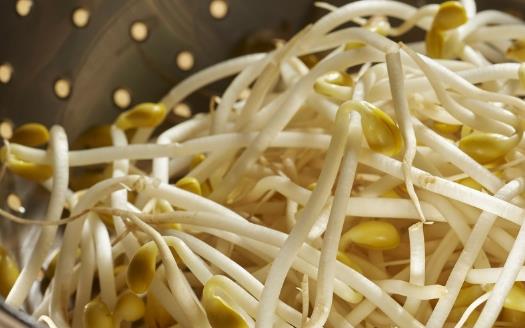 防治便秘的飲食攻略 科學防治便秘從生活方式開始