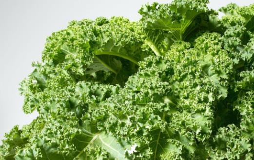 食物能夠提供豐富的營養 揭秘十種餐桌上食物良藥