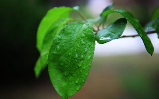 睡眠質(zhì)量不佳 失眠調(diào)理的十個小方法