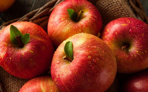 小孩嘔吐發燒吃什么 不妨多吃這三種食療方