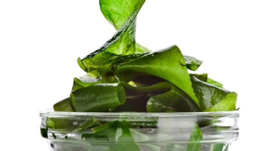 吃海帶能減肥 海帶減肥食譜推薦