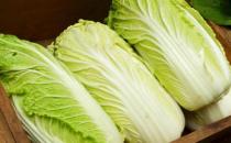 ?挑選大白菜時菜葉上長了小黑點 這樣的白菜能不能吃