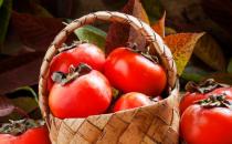 冬季吃柿子容易長(zhǎng)結(jié)石嗎 成熟柿子可以放心隨便吃