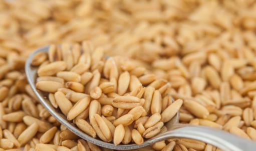 用燕麥減肥 燕麥粥的減肥的八種食用方法