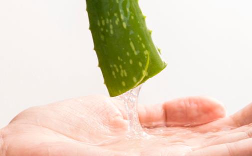 蘆薈果汁的功效與作用 蘆薈果汁的營養價值