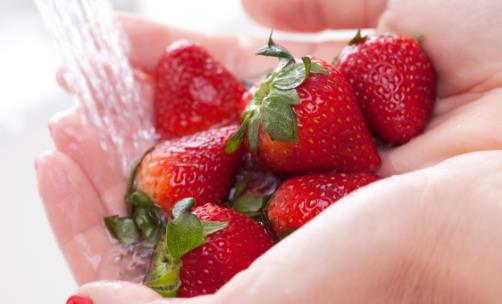 常見農藥殘留最多的蔬果 對待蔬菜中的農藥要更正態度