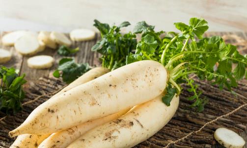 生吃白蘿卜消炎養胃通便 盤點白蘿卜的神奇妙用