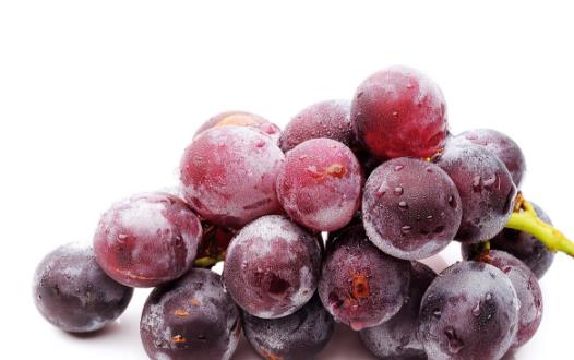 5款美味負熱量食物 減肥期間任性吃