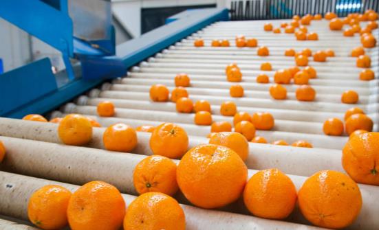 水果打蠟是很普遍的現(xiàn)象 打蠟的水果對人體真的有害嗎