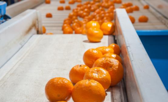 水果打蠟是很普遍的現(xiàn)象 打蠟的水果對人體真的有害嗎