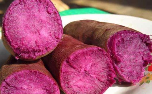 紫薯代餐可以減肥的原因 推薦三種紫薯減肥食譜