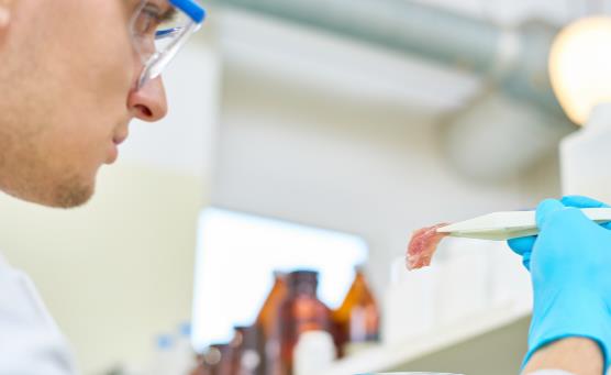 人造培根和牛排將面世 人造肉對老百姓來說到底是好事壞事