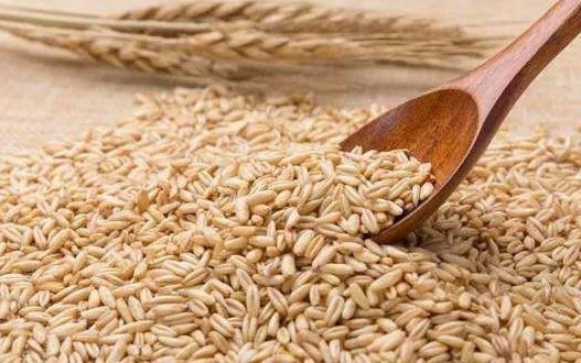 午餐要重視營(yíng)養(yǎng)搭配 減肥午餐攻略