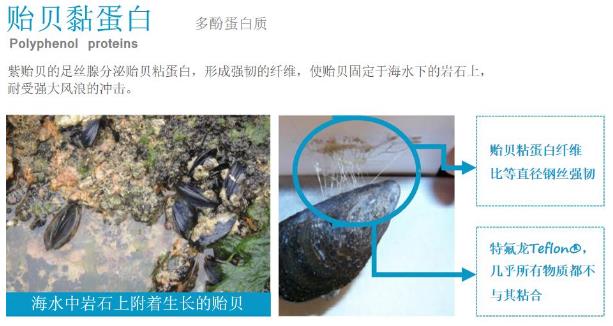 年前肌膚大拯救，萊斯歐肌膚修護三部曲！