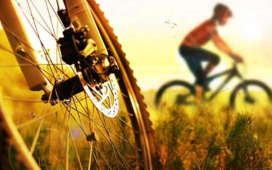 有氧運動和無氧運動更減肥 十個運動減肥原則推薦