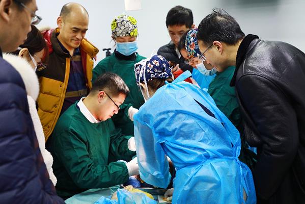 夯實基礎,不斷探索——麗格學院第三屆眼整形進階研習班圓滿落幕