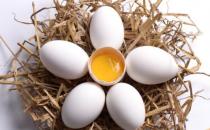 土雞蛋未必就更有營養 關于土雞蛋的真假辨別