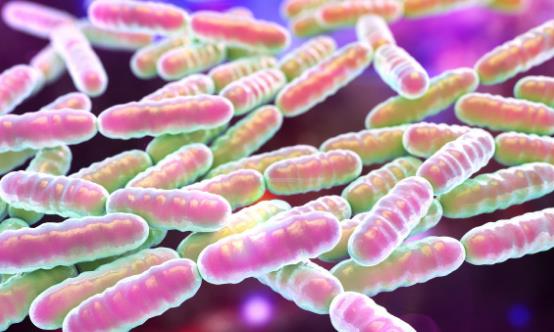 益生菌有益腸道健康 怎么吃才最好