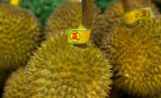 常吃榴蓮滋陰壯陽增強免疫力 但榴蓮不可以與可樂同食