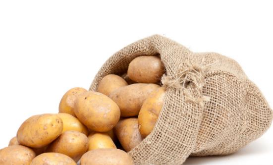 發芽的土豆能不能吃 土豆的正確儲藏技巧減少土豆發芽幾率