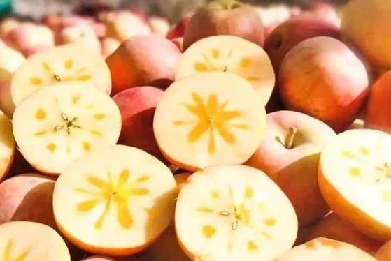 冰糖心蘋果的糖心是怎么形成的?冰糖心是蘋果得了糖心病(水心病)