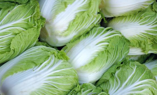 腸胃不好吃些什么好?分享七種常見食物