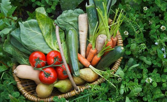 蔬果不應只是餐桌上的配角 每天吃足量蔬果有助防慢病