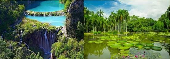 七彩游記西雙版納，意外前往緬甸小勐拉