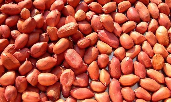 10種堅果營養排行榜 核桃為腦之果護腦標兵