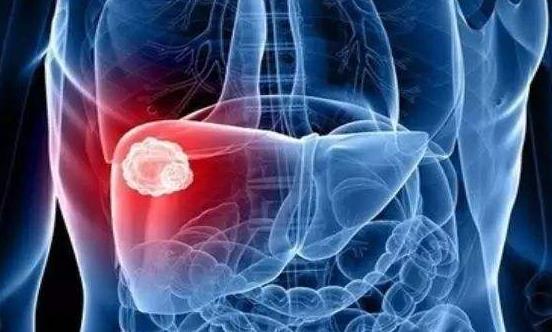 保護肝臟的9個關鍵點 防范“天敵”來護肝