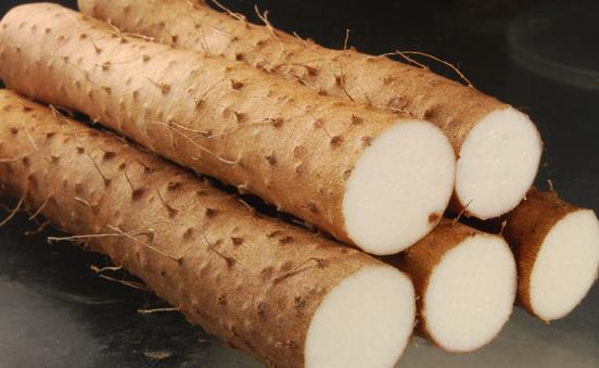 腎虛發生 10種補腎的食物療法推薦