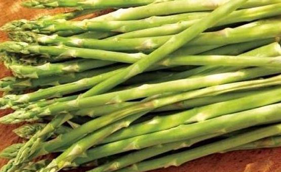 嘌呤高的食物加重痛風(fēng)病情 痛風(fēng)的飲食療法