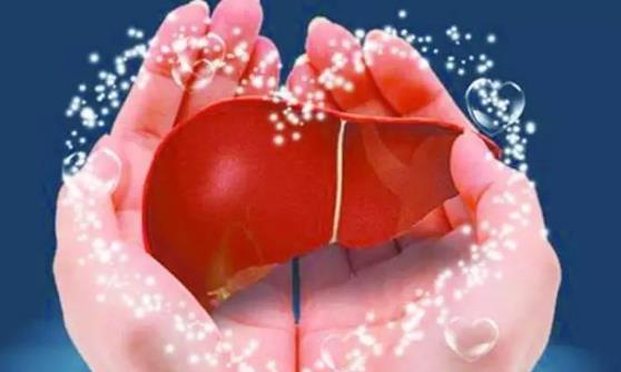 男性最需要去做的就是養(yǎng)肝 選對(duì)正確的具有護(hù)肝功效的食物