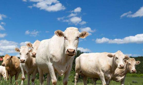 網絡上引發熱議的懶漢病真相 預防防治方法推薦