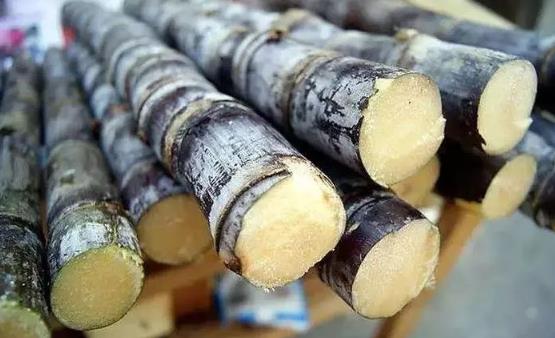 秋日的甘蔗賽過參 甘蔗的花樣新吃法