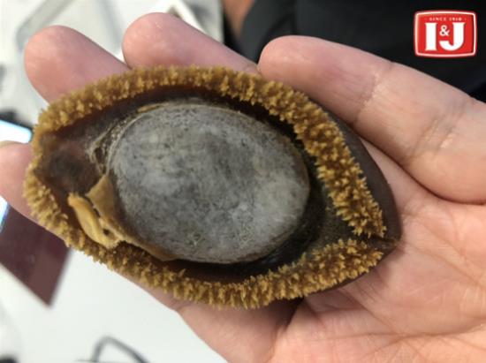怎樣挑選優質的鮑魚?I&J鮑魚選購技巧大有講究